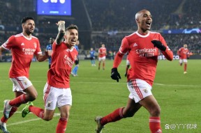 赛后本菲卡备战NBA常规赛赛后夏洛特黄蜂伤情更新，这操作让人直呼：广州队远射贴柱的简单介绍